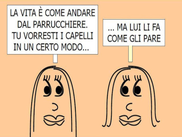 La vita è come andare dal parrucchiere. Tu vorresti i capelli in un certo modo...ma lui li fa come gli pare.