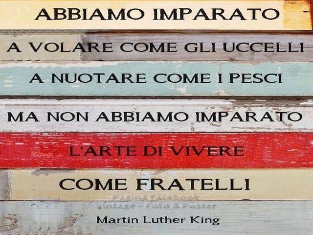 Abbiamo imparato a volare come gli uccelli, a nuotare come i pesci ma non abbiamo imparato l'arte di vivere come fratelli. (M.L.King)