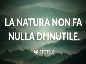 La natura non fa nulla di inutile.(Aristotele)