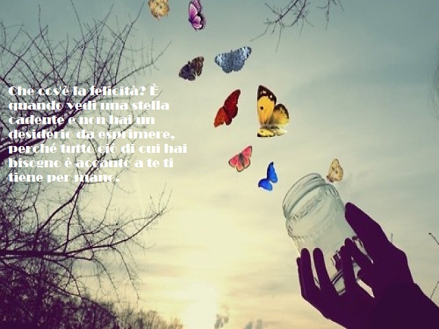 Che cos'è la felicità? È quando vedi una stella cadente e non hai un desiderio da esprimere, perché tutto ciò di cui hai bisogno è accanto a te ti tiene per mano.