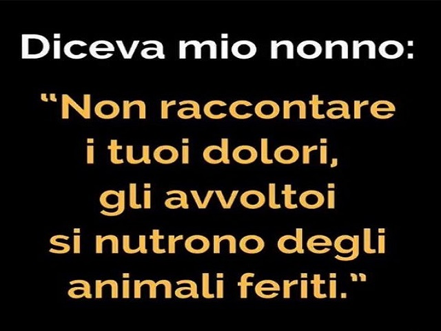 Diceva mio nonno: "Non raccontare i tuoi dolori, gli avvoltoi si nutrono degli animali feriti."
