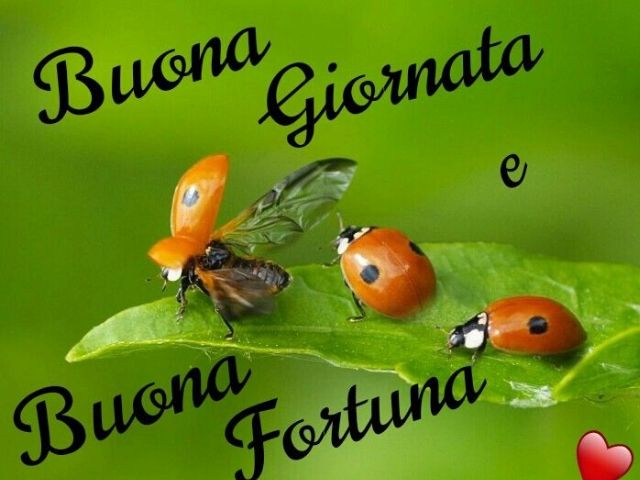 Buona giornata e buona fortuna