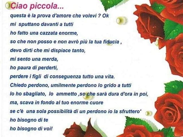 Ciao Piccola... questa è la prova d'amore che volevi? Ok mi sputtano davanti a tutti ho fatto una cazz**a enorme, so che non posso e non avrò più la tua fiducia, devo dirti che mi dispiace tanto, mi sento una mer*a, ho paura di perderti, perdere i figli d