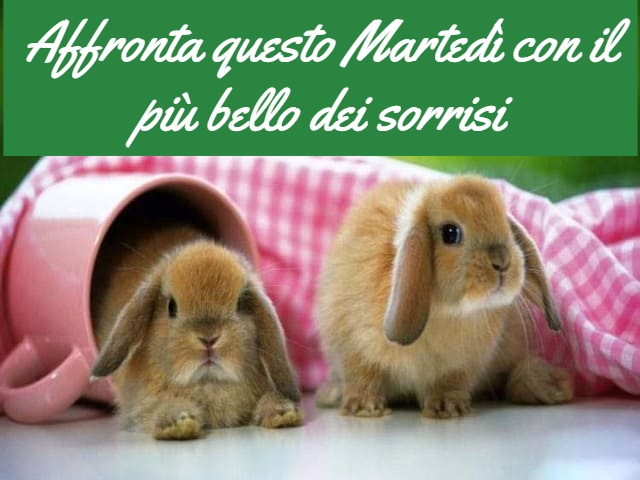 Affronta questo Martedì con il più bello dei sorrisi.