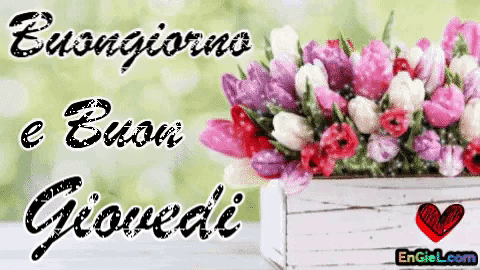 Buongiorno e buon giovedì