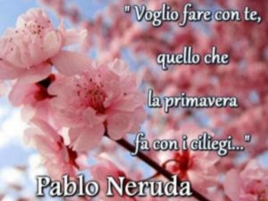 Voglio fare con te quello che la primavera fa con i ciliegi.(Pablo Neruda)