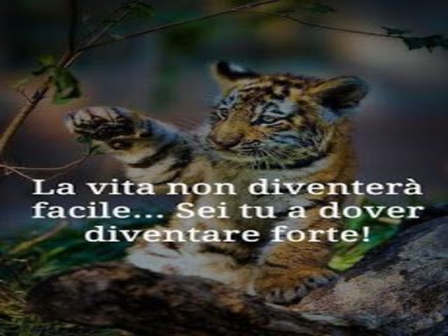 La vita non diventerà facile...sei tu a dover diventare forte!