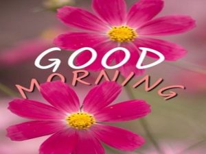 Good morning.(Buongiorno)