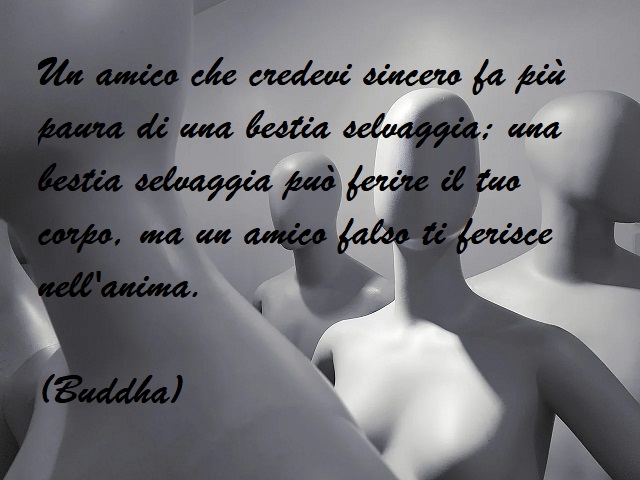 Un amico che credevi sincero fa più paura di una bestia selvaggia: una bestia selvaggia può ferire il tuo corpo, ma un amico falso ti ferisce nell'anima. (Buddha)
