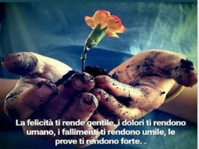 La felicità ti rende gentile, i dolori ti rendono umano, i fallimenti ti rendono umile, le prove ti rendono forte.
