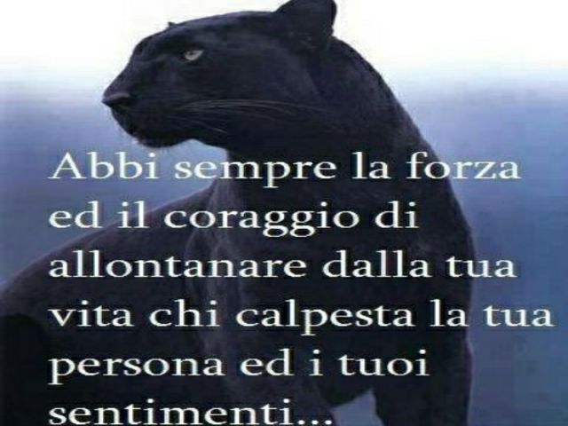 Abbi sempre la forza e il coraggio di allontanare dalla tua vita chi calpesta la tua persona e i tuoi sentimenti...