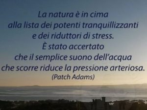 La natura è in cima alla lista dei potenti tranquillizzanti e riduttori di stress. È stato accertato che il semplice suono dell'acqua che scorre riduce la pressione arteriosa.(Patch Adams)