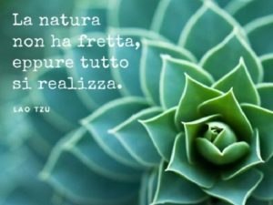 La natura non ha fretta, eppure tutto si realizza.(Lao Tzu)