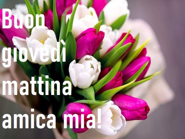 Buon giovedì mattina amica mia!