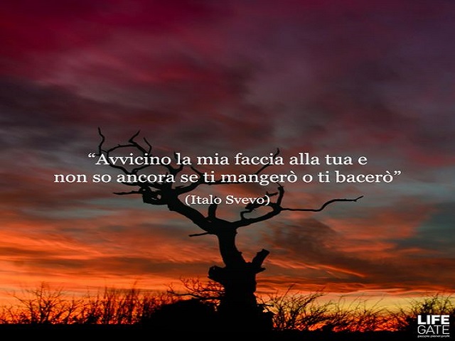 Avvicino la mia faccia alla tua e non so ancora se ti mangerò o ti bacerò. (Italo Svevo)