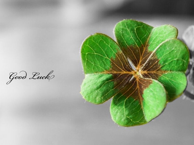 Good Luck (buona fortuna)