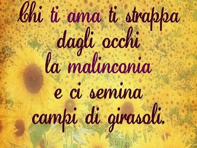 Chi ti ama ti strappa dagli occhi la malinconia e ci semina campi di girasoli.