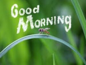 Good morning.(Buongiorno)