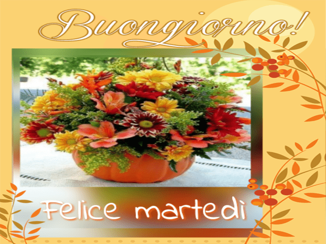 Buongiorno! Felice Martedì.