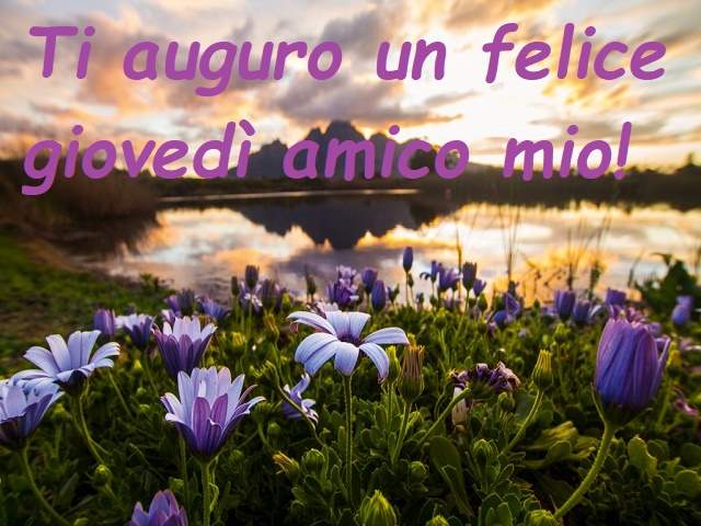 Ti auguro un felice giovedì amico mio!
