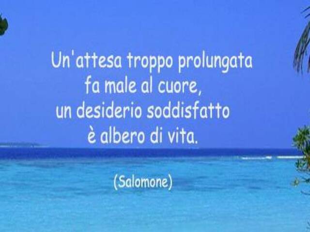 Un'attesa troppo prolungata fa male al cuore, un desiderio soddisfatto è albero di vita.(Salomone)