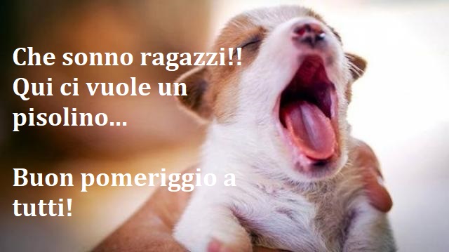 Che sonno ragazzi! Qui ci vuole un pisolino...Buon pomeriggio a tutti!