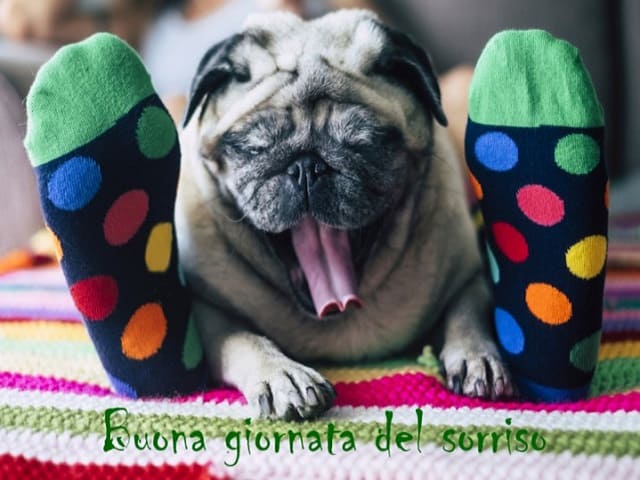Buona giornata del sorriso.
