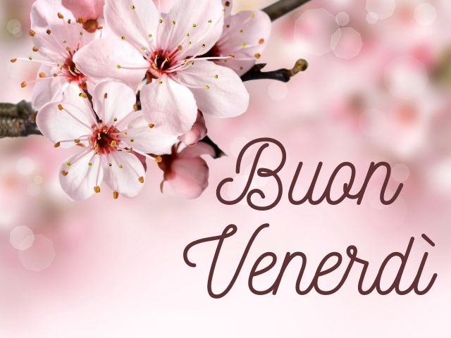 Buon venerdì.