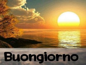 Buongiorno.