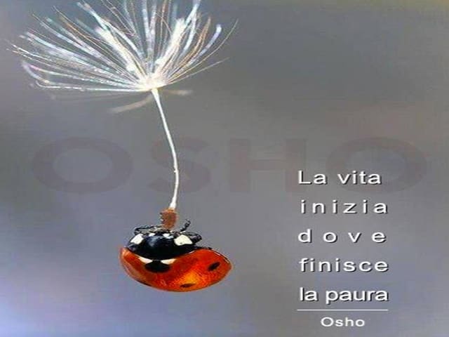 La vita inizia dove finisce la paura.(Osho)