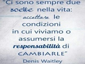 Ci sono sempre due scelte nella vita: accettare le condizioni in cui viviamo o assumersi la responsabilità di cambiarle.(Denis Waitley)