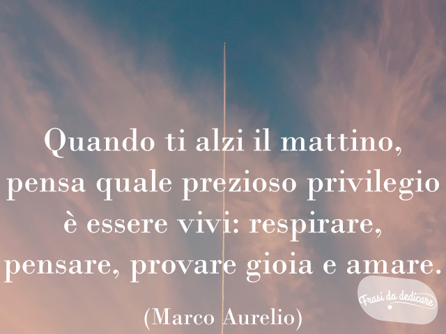 Quando ti alzi il mattino, pensa quale prezioso privilegio è essere vivi: respirare, pensare, provare gioia e amare.(Marco Aurelio)