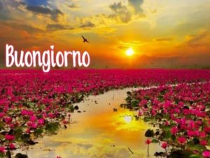 Buongiorno.