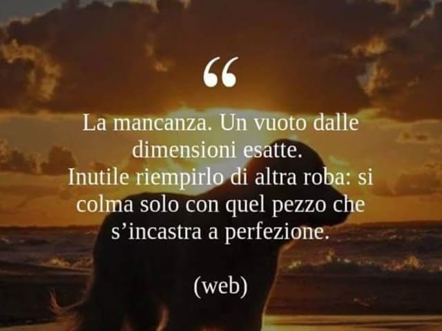 La mancanza. Un vuoto dalle dimensioni esatte. Inutile riempirlo di altra roba: si colma solo con quel pezzo che s'incastra alla perfezione.
