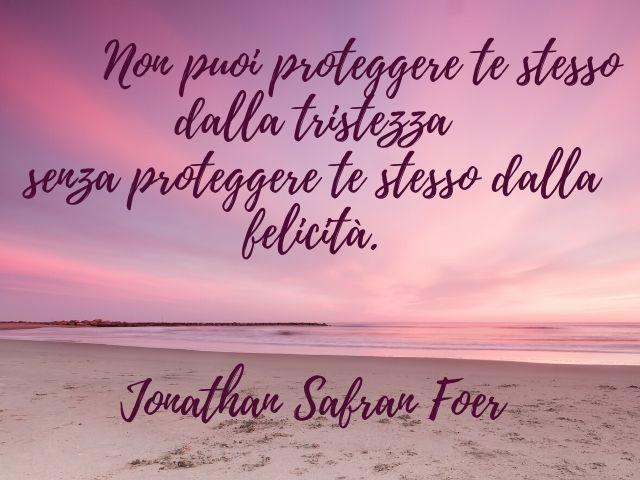 Non puoi proteggere te stesso dalla tristezza senza proteggere te stesso dalla felicità.(Jonathan Safran Foer)
