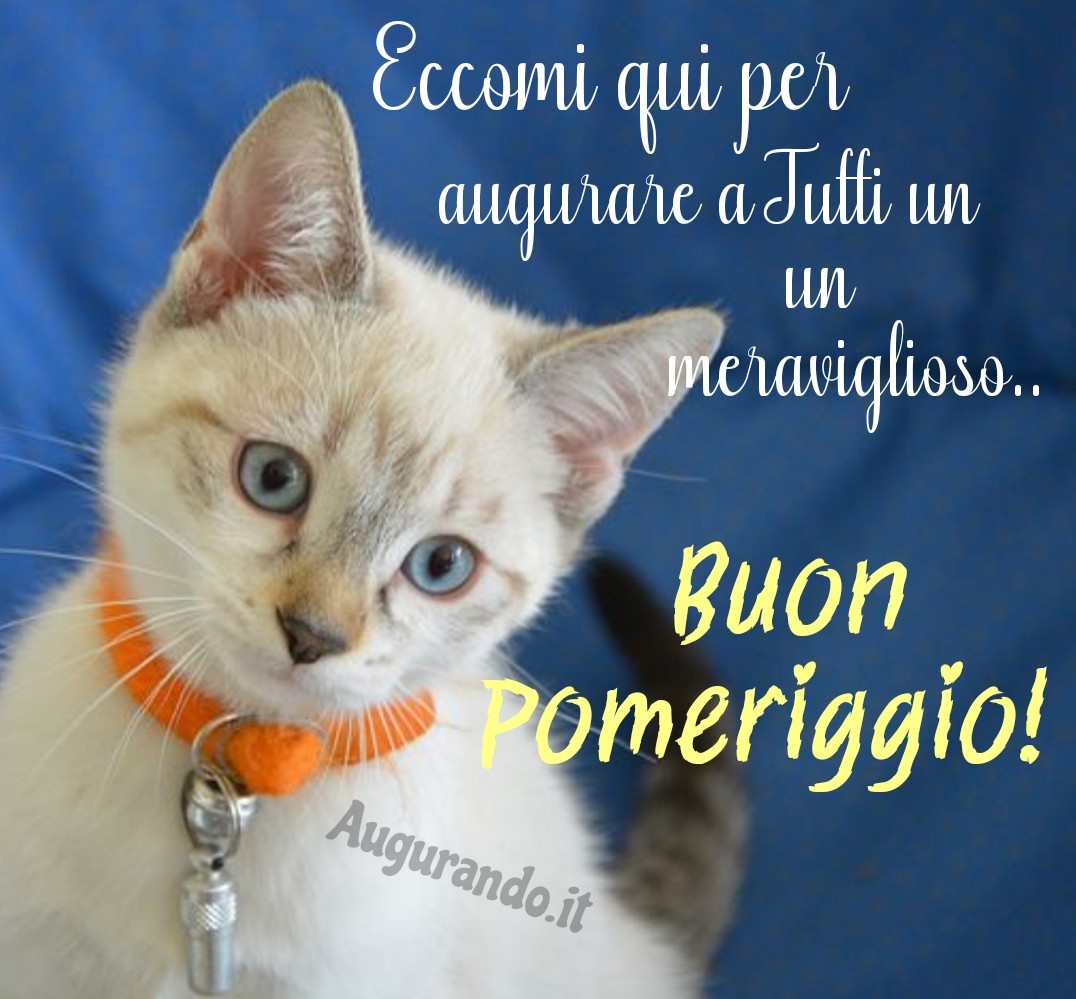 Eccomi qui per augurare a tutti un meraviglioso buon pomeriggio!