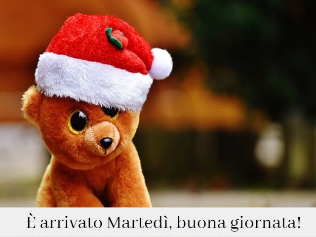 È arrivato Martedì, buona giornata!