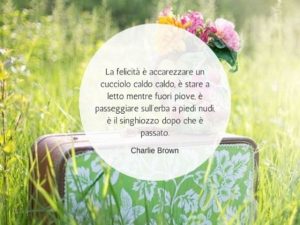 La felicità è accarezzare un cucciolo caldo caldo, è stare a letto mentre fuori piove, è passeggiare sull'erba a piedi nudi, è il singhiozzo dopo che è passato.(Charlie Brown)