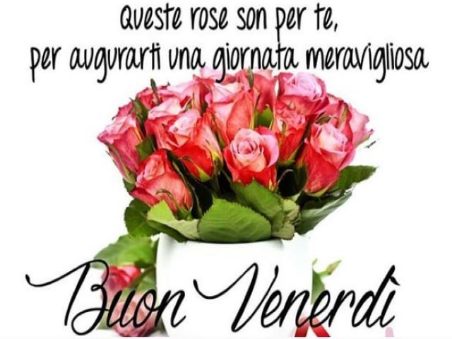 Queste rose sono per te, per augurarti una giornata meravigliosa.Buon venerdì.