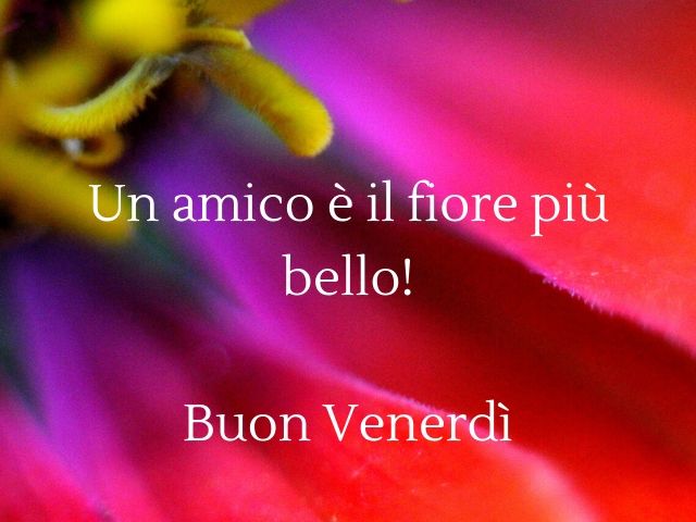 Un amico è il fiore più bello!Buon venerdì.