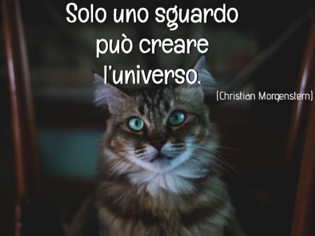 Solo uno sguardo può creare l’universo.(Christian Morgenstern)