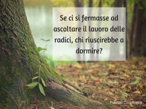 Se ci si fermasse ad ascoltare il lavoro delle radici, chi riuscirebbe a dormire?(Fabrizio Caramagna)