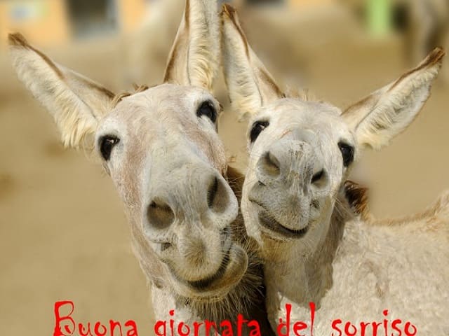 Buona giornata del sorriso