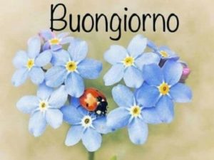 Buongiorno.