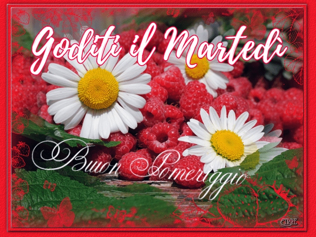Goditi il Martedì. Buon pomeriggio.