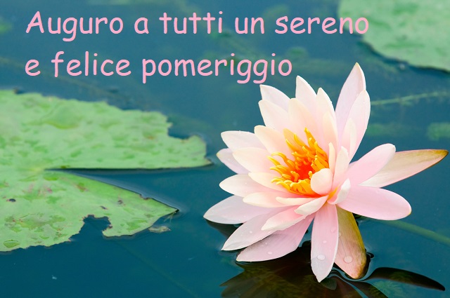 Auguro a tutti un sereno e felice pomeriggio