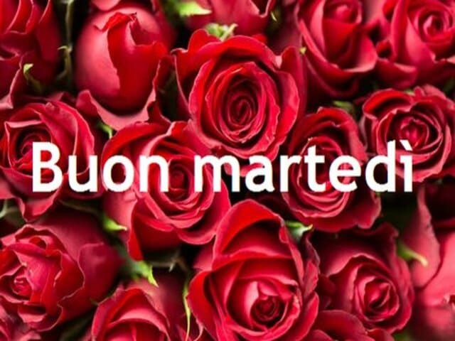 Buon Martedì