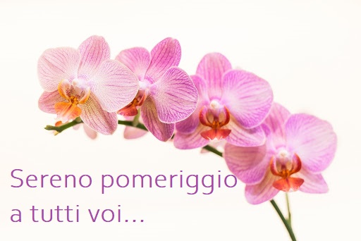Sereno pomeriggio a tutti voi
