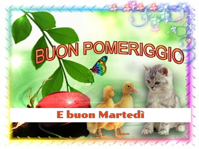 Buon pomeriggio e buon Martedì.