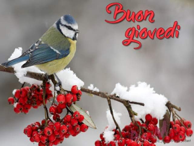 Buon giovedì